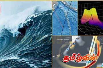 பாரிய சுனாமி அலை:செயற்கைக்கோளில் அவதானிக்கப்பட்ட தகவல்கள்