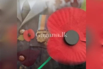 රට වෙනුවෙන් කැපවූ රටට ණය නැති විරුවන්ට පිදෙන පොපි මල් සැමරුම ලබන 24 වැනිදා ...