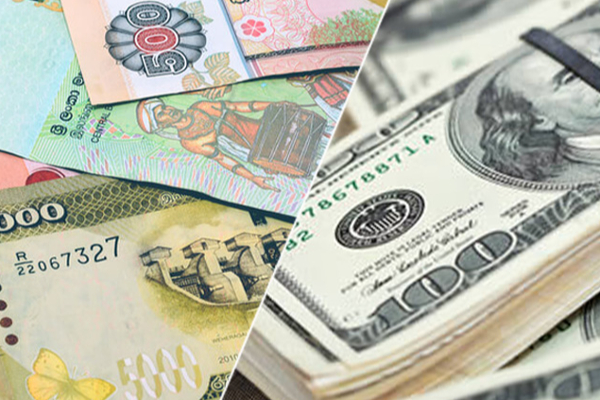 அதிகரித்துள்ள இலங்கை ரூபாயின் பெறுமதி: மத்திய வங்கி வெளியிட்டுள்ள அறிவித்தல் - ஐபிசி தமிழ்