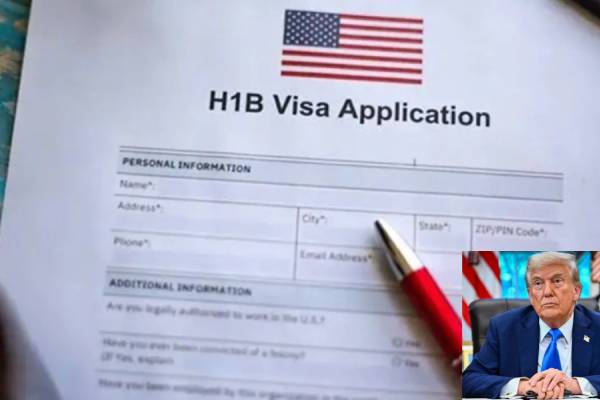 elon musk supports indians for h1-b visa