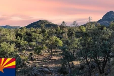 அமெரிக்க நகரம் ஒன்றில் இரு இடங்களில் சிதறிக் கிடந்த மனித உடல் பாகங்கள்: பொலிசார் தீவிர விசாரணை