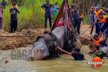 හැමෝම හඬවමින් භාතිය හස්තියා යන්නම ගිහින්