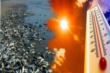 அதிகரிக்கும் வெப்பநிலையால் சிரமத்தில் மீனவர்கள்
