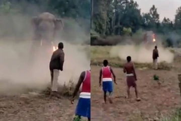 சீறிப் பாய்ந்து வந்த யானையிடம் இருந்து கிராம மக்களை காப்பாற்றிய வனக்காவலர்! (Video)