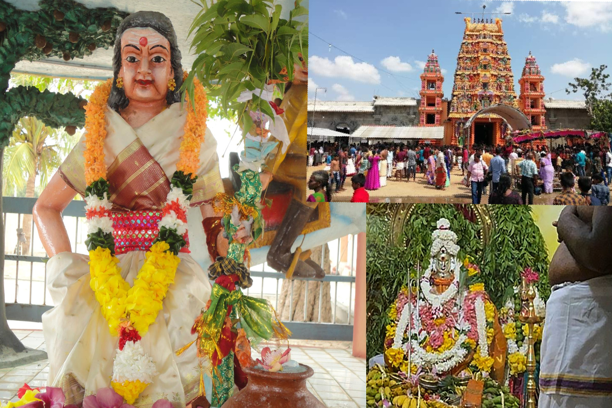 உப்பு நீரில் விளக்கெரியும் வற்றாப்பளை கண்ணகி அம்மன் அற்புதம்! | Vattappalai Kannaki Amman Lamp Burns In Sea Water