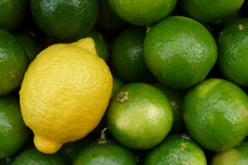 நீரிழிவு நோயாளருக்கு வரப்பிரசாதமாகும் எலுமிச்சை!