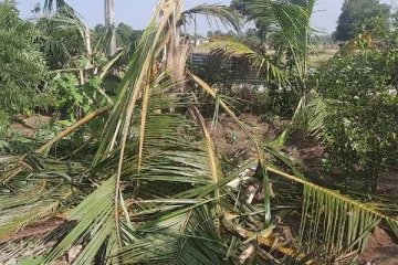 காட்டு யானைகள் தாக்கியதில் வீடொன்று பகுதியளவில் சேதம் (Photos)