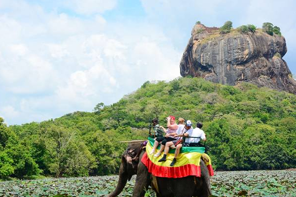 இலங்கைக்கு இந்த துறையினால் குவியவுள்ள டொலர்கள்! | Dollars Accumulated By Tourism To Sri Lanka