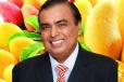மாம்பழம் தொழிலையும் விட்டுவைக்காத அம்பானி! விவசாயத்தில் கால் பதித்து அசுர சாதனை