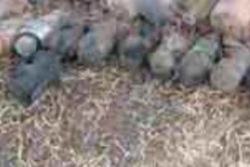 LTTEය නිධන් කළ පුපුරණ ද්‍රව්‍ය තොගයක් හමු වෙලා..