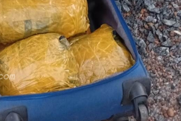 யாழில் கைவிடபட்ட சூட்கேஸ்க்குள் காத்திருந்த அதிர்ச்சி ; தப்பியோடிய இளைஞர்கள் | Discovery Inside Abandoned Suitcase In Jaffna