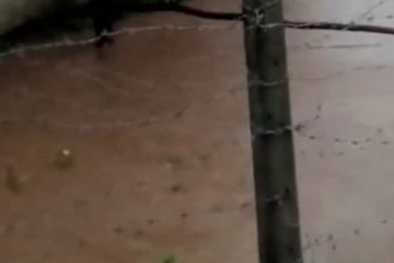 අතුරුදහන් වූ දරුවන් දෙදෙනෙක් සොයා මෙහෙයුම්