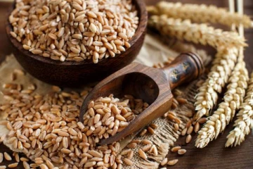 ஆப்கானிஸ்தானில் இருந்து கோதுமை ஏற்றுமதிக்கு தடை!