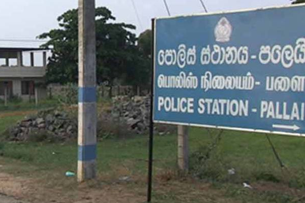 கிளிநொச்சியில் பசு மாடுகளை களவாடிச் சென்ற திருடர்கள்! | Thieves Stolen Cows In Pallai Kilinochchi