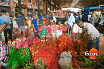 එළවළු තොග මිලට වෙච්චදේ මෙන්න - ගොවීන් දැඩි අසීරුතාවයක