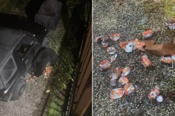 இரவில் நாய் குரைப்பதைக் கேட்டு எழுந்த கனேடிய பெண்: கண்ட எதிர்பாராத காட்சி