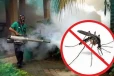 තවත් භයානක හෙළිදරව්වක් - දිවයිනේ පාසල්වල තත්ත්වය සමඟ රෝගය උත්සන්න වේ