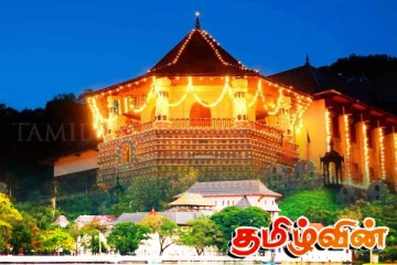 புனித தந்த சின்னத்தின் கண்காட்சி தொடர்பில் பொலிஸார் விசேட திட்டம்