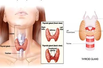 ඔබට තයිරොයිඩ් ගැටළු ඇති බව අඟවන රෝග ලක්ෂණ.