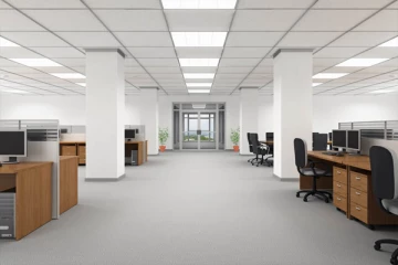 குறைந்து வரும் அரசாங்க ஊழியர்கள்