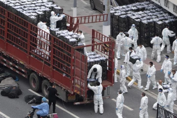 கொரோனா எந்த நாட்டில்  உருவானது?; விஞ்ஞானிகளின் ஆய்வு முடிவு