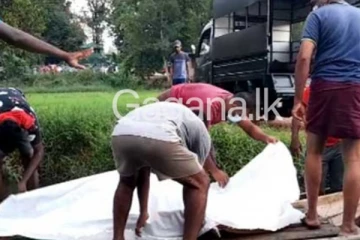 විදුලි රැහැනක් පියාගේ සහ දියණිය ගේ දිවි අහිමි කළ හැටි