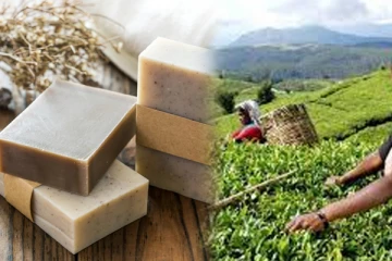 தேயிலை தளிர்களை கொண்டு குழந்தைகள் சோப் தயாரிப்பு