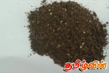 யாழில் கஞ்சாவுடன் இரண்டு இளைஞர்கள் கைது