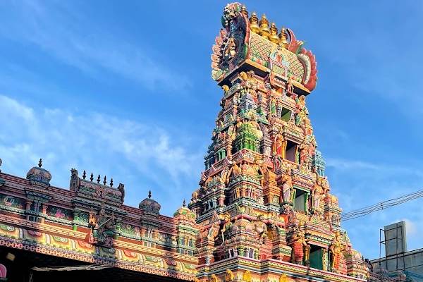 பச்சையம்மன் கோயில்கள்... வரலாறும் பெருமைகளும்..! | Pachaiamman Temple