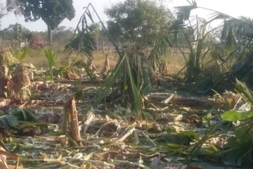 விலங்குகளை கொல்வதற்கு விவசாய அமைச்சு வழங்கியுள்ள அனுமதி! கிளம்பியது சர்ச்சை