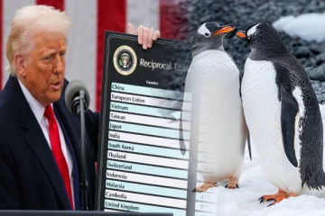 ஆளே இல்லாத தீவுக்கு வரி விதித்த டிரம்ப் ; வரி செலுத்துமா பென்குயின்கள்