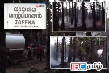 யாழ் வடமராட்சியில் நூற்றுக்கணக்கான பனைகளுக்கு தீவைப்பு!