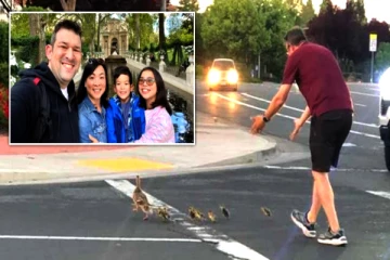 வாத்து குடும்பத்தை காப்பாற்றிய தந்தைக்கு குழந்தைகள் கண்முன் நேர்ந்த பயங்கரம்