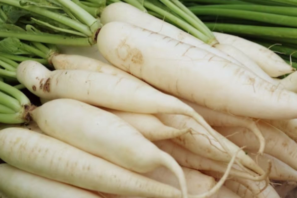 கெட்ட கொழுப்பை அடியோடு விரட்டும் காய் எது தெரியுமா? | Vegetables To Eat For High Bp And Cholesterol கெட்ட கொழுப்பை அடியோடு விரட்டும் காய் எது தெரியுமா? | Vegetables To Eat For High Bp And Cholesterol