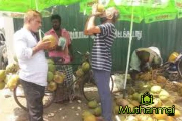 கிண்ணியாவில் அழுகிய இளநீர் விற்பனை.. அதிரடியாக களமிறங்கிய சுகாதார பிரிவினர்