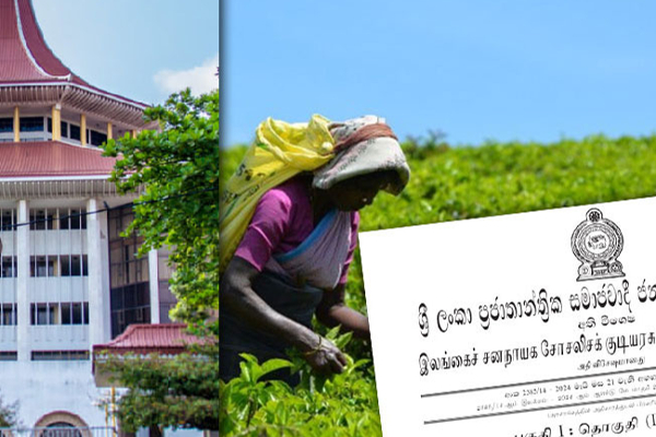 பெருந்தோட்டத் தொழிலாளர்களின் சம்பள விவகாரம்: மனுவை மீளப்பெற்ற நிறுவனங்கள் - நிறைவடைந்துள்ள வழக்கு | The Case Of Plantation Workers Salary Increase