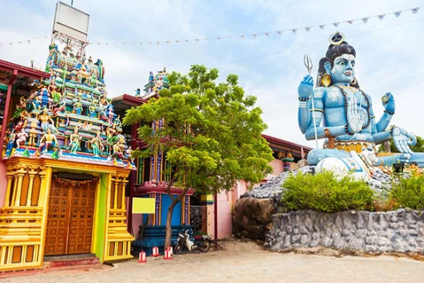 சுற்றுலா பயணிகளால் இலங்கைக்கு குவியும் வருமானம்! | Income Flowing To Sri Lanka From Tourists