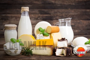 ලංකාවට කිරි උතුරවන්න ජපාන රජයෙන් උදව්වක්