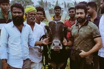 வாடிவாசல் படத்தின் படப்பிடிப்பு எப்போது துவங்குகிறது தெரியுமா! சூர்யா ரசிகர்களுக்கு காத்திருக்கும் ட்ரீட்