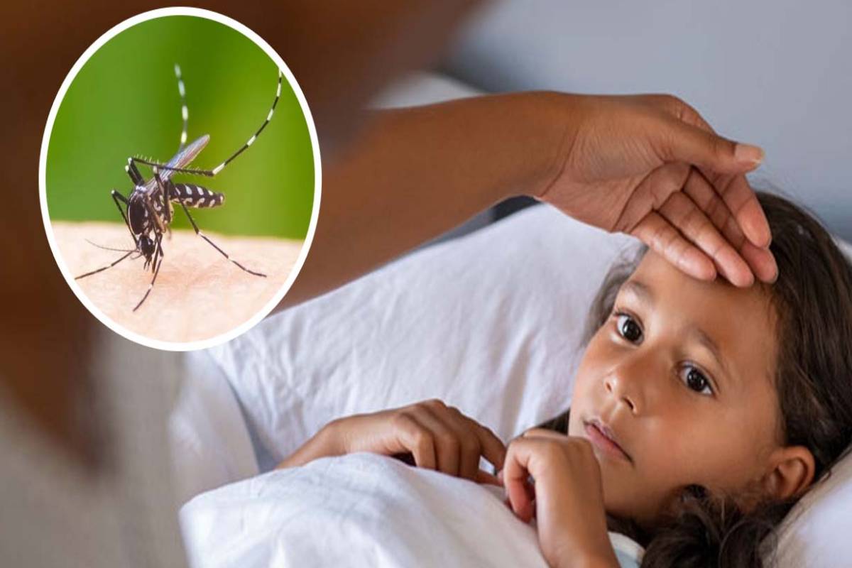 தீவிரமடையும் டெங்கு நோய் தாக்கம் - பொதுமக்களுக்கு சிவப்பு அறிவிப்பு | Dengue Fever Outbreak Worsening