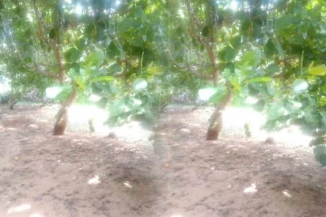 குமுழமுனை காணியை விடுவிக்குமாறு மாவட்ட செயலாளரிடம் கோரிக்கை