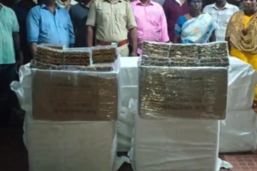 இலங்கைக்கு கடத்துவதற்காக கொண்டு வரப்பட்ட வலி நிவாரணி மாத்திரைகள் பறிமுதல்