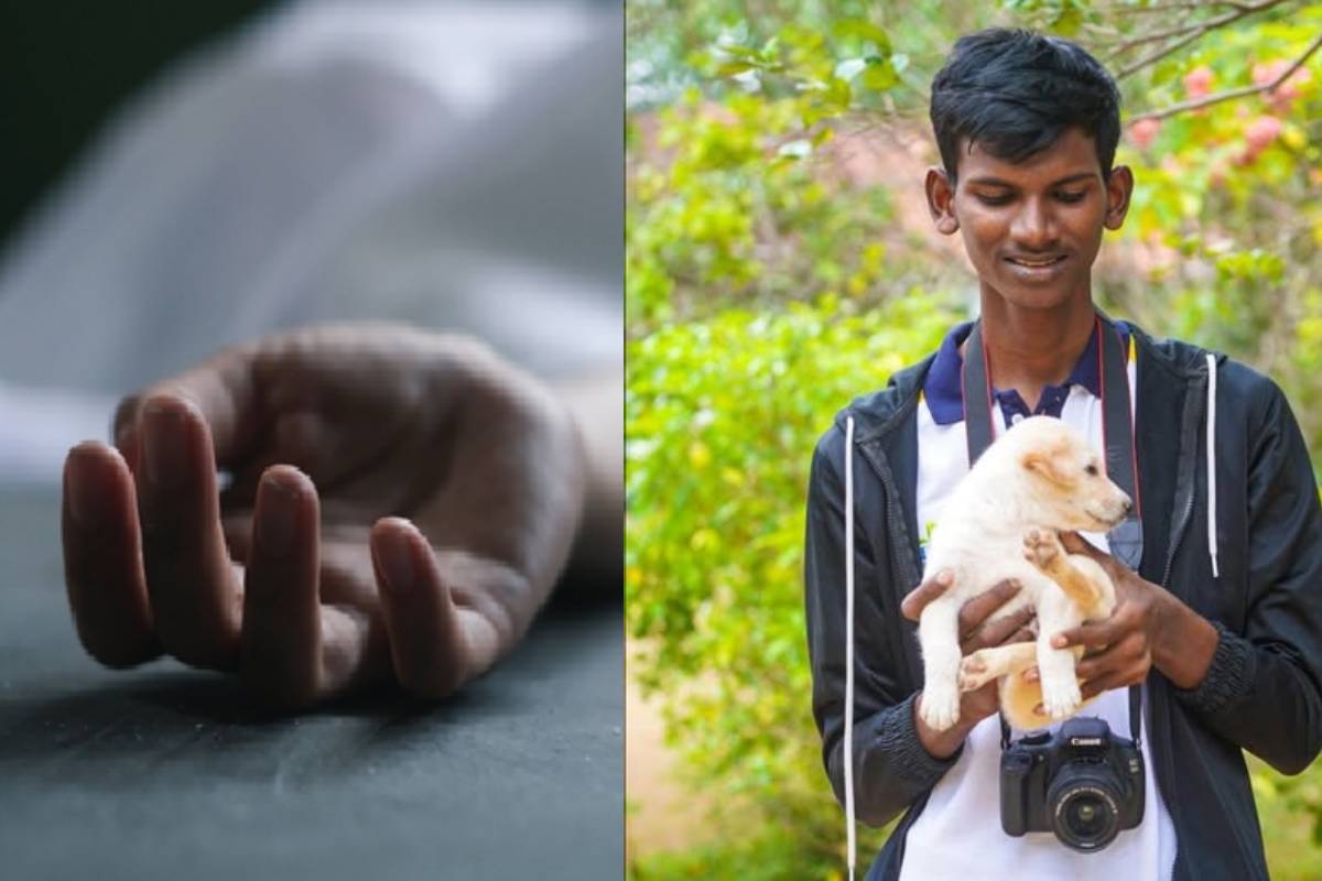 தமிழர் தேசத்தை உலுக்கும் வீதி விபத்துக்கள்... | Road Accidents Shaking The Tamil Areas In Srilanka