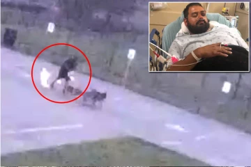 மின்னல் தாக்கி சுருண்டு விழுந்த நபர்., தெறித்து ஓடிய நாய்கள்: வெளியான பதறவைக்கும் சிசிடிவி காட்சி