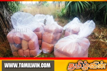 கிளிநொச்சி - பளையில் 104 கிலோ கஞ்சா மீட்பு