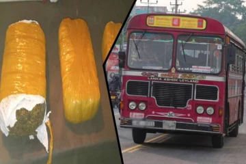 அரச பேருந்தில் கஞ்சா கடத்தியவர் கைது: யாழில் சம்பவம் (Photos)