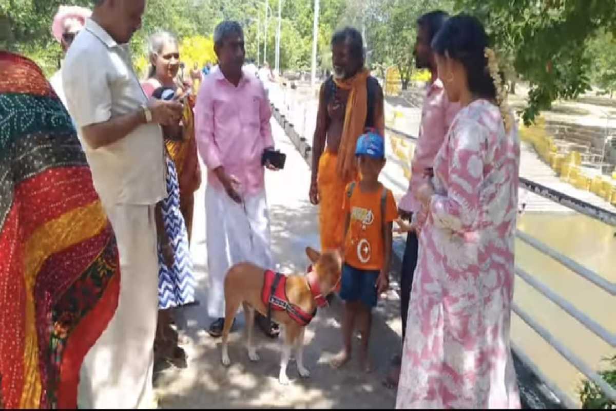 கதிர்காமம் சென்றடைந்தது சுப்பிரமணியம் | Subramaniam The Dog Reached Kataragama கதிர்காமம் சென்றடைந்தது சுப்பிரமணியம் | Subramaniam The Dog Reached Kataragama