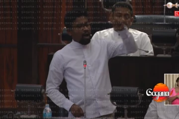 අනේ ඔච්චර තොඳුල් වෙන්න ඕනේ නැහැ - සජිත්ට හික් ගෑවෙන්න ශාන්ත කරුණාවෙන් කියපු කතාව