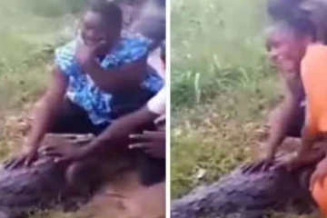 இறந்த முதலையுடன் எடுத்த செல்ஃபி! நொடியில் உயிர்தப்பிய நபர்களின் திக் திக் காட்சி