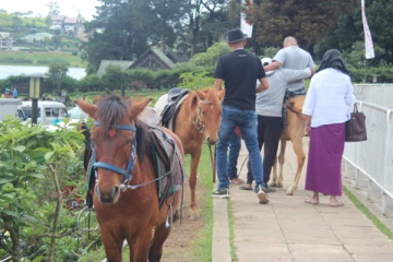 குதிரை சவாரி செய்ய நினைத்த யுவதிக்கு நேர்ந்த கதி!